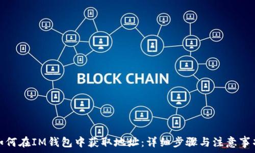   
如何在IM钱包中获取地址：详细步骤与注意事项